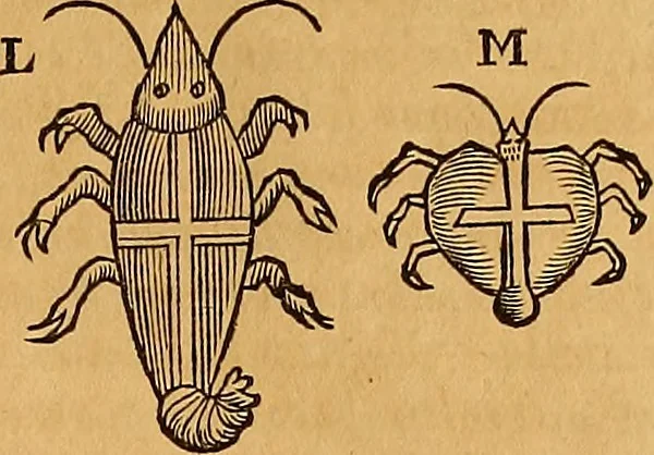 An illustration from Mundus subterraneus, in XII libros digestus : qvo divinum subterrestris mundi opificium, mira ergasteriorum naturae in eo distributio, verbo [pantamorphon] Protei regnum, universae denique naturae majestas & divitiae summa rerum varietate exponuntur, abditorum effectuum causae acri indagine inquistae demonstrantur, cognitae per artis & naturae conjugium ad humanae vitae necessarium usum vario experimentorum apparata, necnon novo modo & ratione applicantur. Ad Alexandrum VII. pont. opt. max., 1678, leaf 488