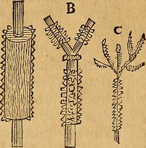 An illustration from Mundus subterraneus, in XII libros digestus : qvo divinum subterrestris mundi opificium, mira ergasteriorum naturae in eo distributio, verbo [pantamorphon] Protei regnum, universae denique naturae majestas & divitiae summa rerum varietate exponuntur, abditorum effectuum causae acri indagine inquistae demonstrantur, cognitae per artis & naturae conjugium ad humanae vitae necessarium usum vario experimentorum apparata, necnon novo modo & ratione applicantur. Ad Alexandrum VII. pont. opt. max., 1678, leaf 491