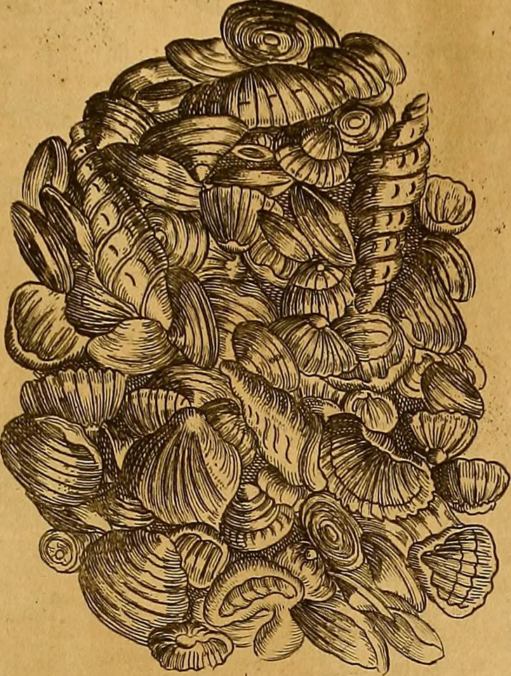 An illustration from Mundus subterraneus, in XII libros digestus : qvo divinum subterrestris mundi opificium, mira ergasteriorum naturae in eo distributio, verbo [pantamorphon] Protei regnum, universae denique naturae majestas & divitiae summa rerum varietate exponuntur, abditorum effectuum causae acri indagine inquistae demonstrantur, cognitae per artis & naturae conjugium ad humanae vitae necessarium usum vario experimentorum apparata, necnon novo modo & ratione applicantur. Ad Alexandrum VII. pont. opt. max., 1678, leaf 492