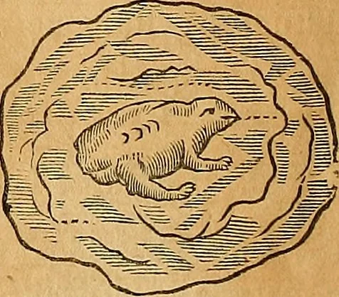 An illustration from Mundus subterraneus, in XII libros digestus : qvo divinum subterrestris mundi opificium, mira ergasteriorum naturae in eo distributio, verbo [pantamorphon] Protei regnum, universae denique naturae majestas & divitiae summa rerum varietate exponuntur, abditorum effectuum causae acri indagine inquistae demonstrantur, cognitae per artis & naturae conjugium ad humanae vitae necessarium usum vario experimentorum apparata, necnon novo modo & ratione applicantur. Ad Alexandrum VII. pont. opt. max., 1678, leaf 495