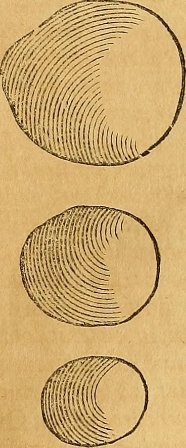 An illustration from Mundus subterraneus, in XII libros digestus : qvo divinum subterrestris mundi opificium, mira ergasteriorum naturae in eo distributio, verbo [pantamorphon] Protei regnum, universae denique naturae majestas & divitiae summa rerum varietate exponuntur, abditorum effectuum causae acri indagine inquistae demonstrantur, cognitae per artis & naturae conjugium ad humanae vitae necessarium usum vario experimentorum apparata, necnon novo modo & ratione applicantur. Ad Alexandrum VII. pont. opt. max., 1678, leaf 504