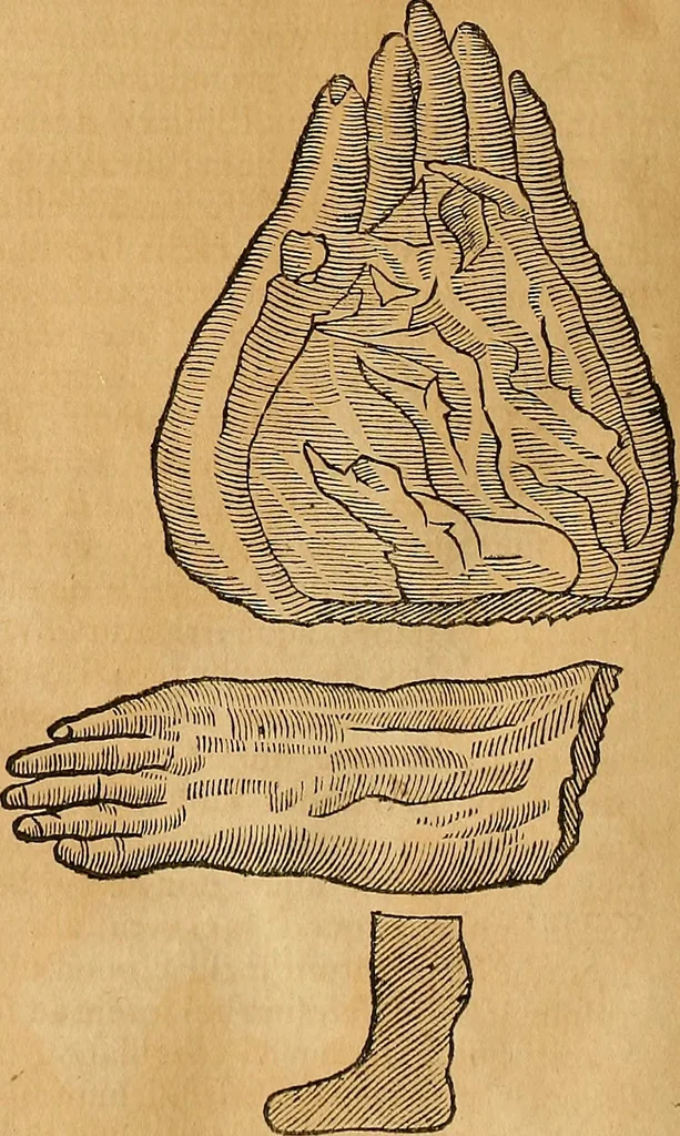 An illustration from Mundus subterraneus, in XII libros digestus : qvo divinum subterrestris mundi opificium, mira ergasteriorum naturae in eo distributio, verbo [pantamorphon] Protei regnum, universae denique naturae majestas & divitiae summa rerum varietate exponuntur, abditorum effectuum causae acri indagine inquistae demonstrantur, cognitae per artis & naturae conjugium ad humanae vitae necessarium usum vario experimentorum apparata, necnon novo modo & ratione applicantur. Ad Alexandrum VII. pont. opt. max., 1678, leaf 505