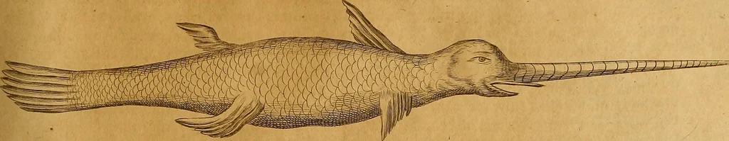 An illustration from Mundus subterraneus, in XII libros digestus : qvo divinum subterrestris mundi opificium, mira ergasteriorum naturae in eo distributio, verbo [pantamorphon] Protei regnum, universae denique naturae majestas & divitiae summa rerum varietate exponuntur, abditorum effectuum causae acri indagine inquistae demonstrantur, cognitae per artis & naturae conjugium ad humanae vitae necessarium usum vario experimentorum apparata, necnon novo modo & ratione applicantur. Ad Alexandrum VII. pont. opt. max., 1678, leaf 508