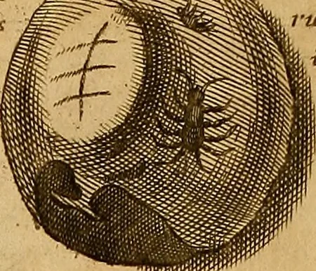 An illustration from Mundus subterraneus, in XII libros digestus : qvo divinum subterrestris mundi opificium, mira ergasteriorum naturae in eo distributio, verbo [pantamorphon] Protei regnum, universae denique naturae majestas & divitiae summa rerum varietate exponuntur, abditorum effectuum causae acri indagine inquistae demonstrantur, cognitae per artis & naturae conjugium ad humanae vitae necessarium usum vario experimentorum apparata, necnon novo modo & ratione applicantur. Ad Alexandrum VII. pont. opt. max., 1678, leaf 521