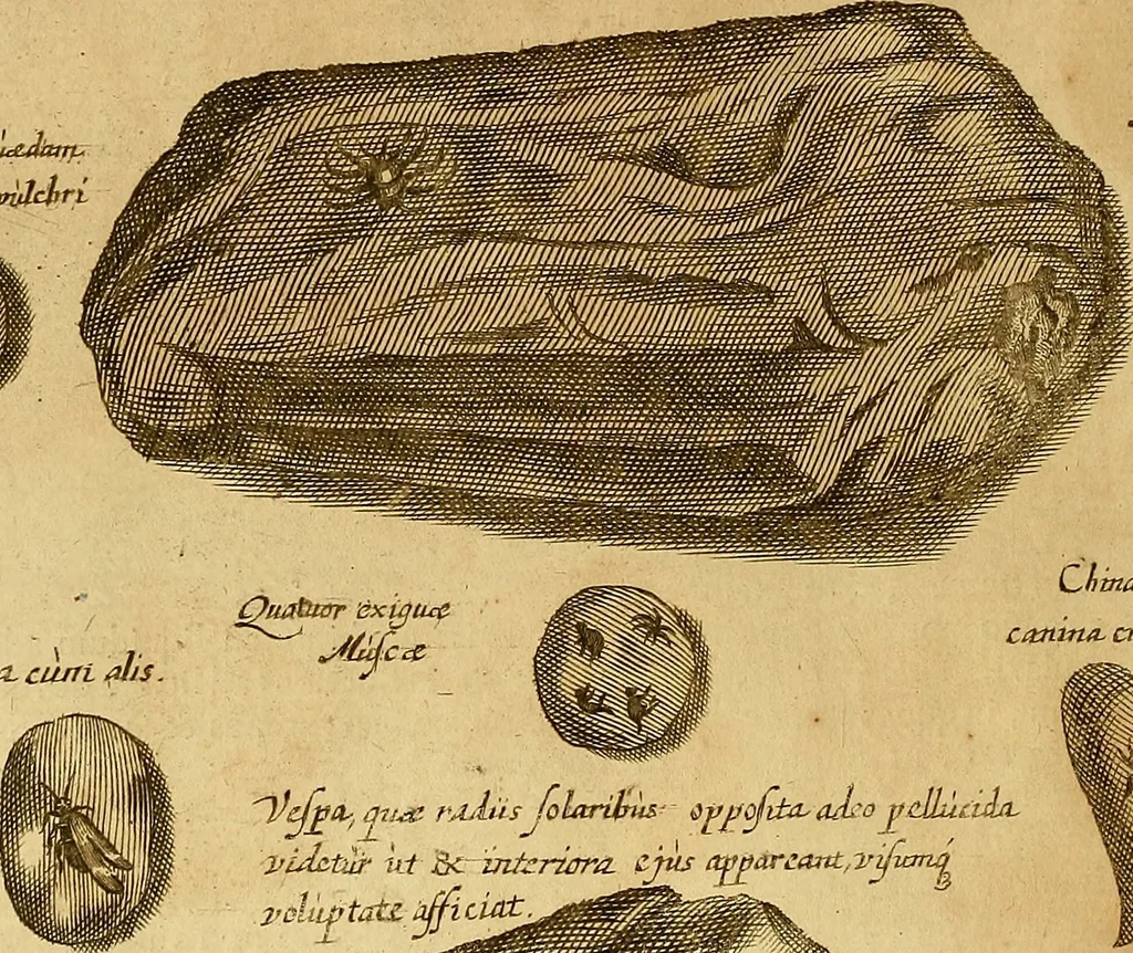 An illustration from Mundus subterraneus, in XII libros digestus : qvo divinum subterrestris mundi opificium, mira ergasteriorum naturae in eo distributio, verbo [pantamorphon] Protei regnum, universae denique naturae majestas & divitiae summa rerum varietate exponuntur, abditorum effectuum causae acri indagine inquistae demonstrantur, cognitae per artis & naturae conjugium ad humanae vitae necessarium usum vario experimentorum apparata, necnon novo modo & ratione applicantur. Ad Alexandrum VII. pont. opt. max., 1678, leaf 521