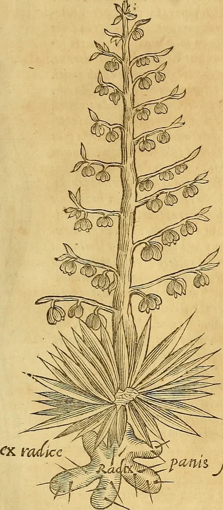 An illustration from Mundus subterraneus, in XII libros digestus : qvo divinum subterrestris mundi opificium, mira ergasteriorum naturae in eo distributio, verbo [pantamorphon] Protei regnum, universae denique naturae majestas & divitiae summa rerum varietate exponuntur, abditorum effectuum causae acri indagine inquistae demonstrantur, cognitae per artis & naturae conjugium ad humanae vitae necessarium usum vario experimentorum apparata, necnon novo modo & ratione applicantur. Ad Alexandrum VII. pont. opt. max., 1678, leaf 606