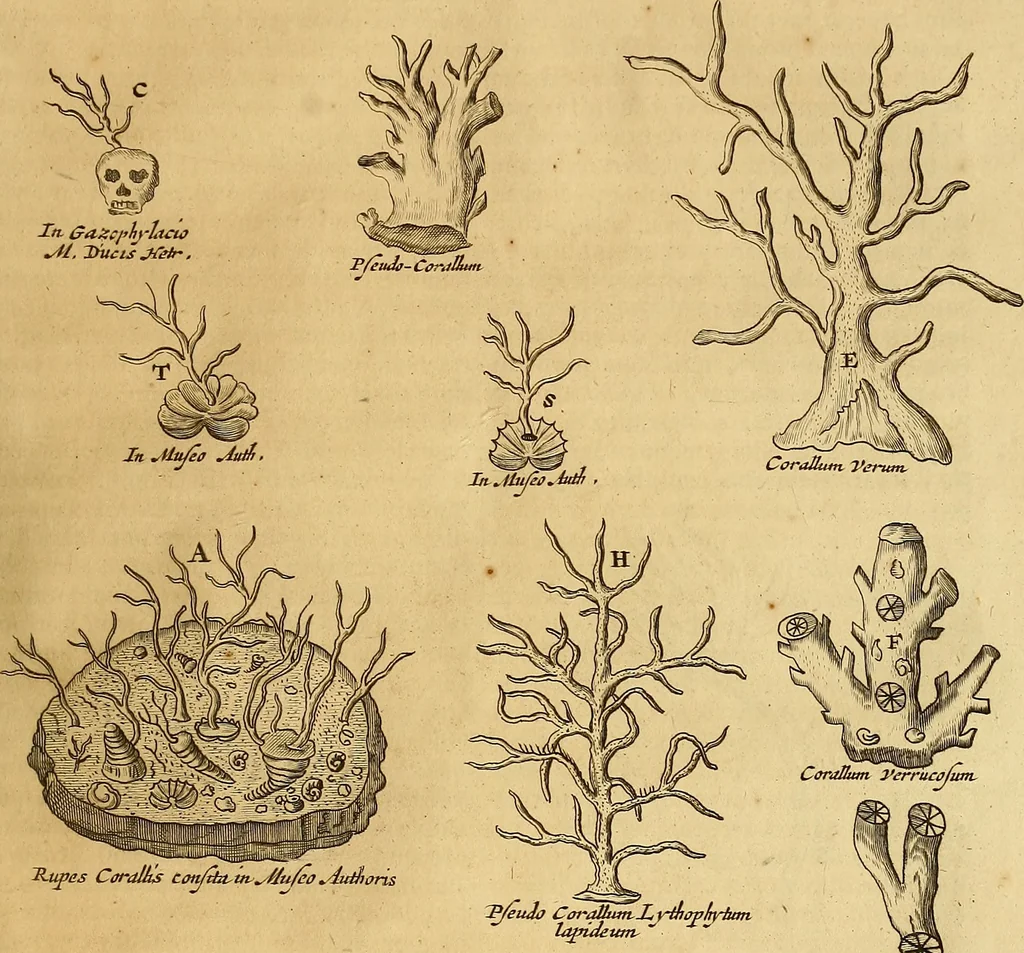 An illustration from Mundus subterraneus, in XII libros digestus : qvo divinum subterrestris mundi opificium, mira ergasteriorum naturae in eo distributio, verbo [pantamorphon] Protei regnum, universae denique naturae majestas & divitiae summa rerum varietate exponuntur, abditorum effectuum causae acri indagine inquistae demonstrantur, cognitae per artis & naturae conjugium ad humanae vitae necessarium usum vario experimentorum apparata, necnon novo modo & ratione applicantur. Ad Alexandrum VII. pont. opt. max., 1678, leaf 626