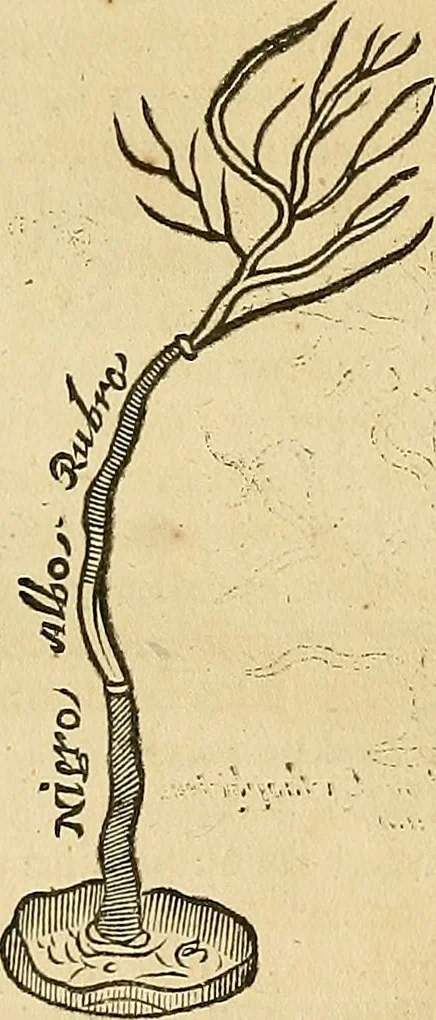 An illustration from Mundus subterraneus, in XII libros digestus : qvo divinum subterrestris mundi opificium, mira ergasteriorum naturae in eo distributio, verbo [pantamorphon] Protei regnum, universae denique naturae majestas & divitiae summa rerum varietate exponuntur, abditorum effectuum causae acri indagine inquistae demonstrantur, cognitae per artis & naturae conjugium ad humanae vitae necessarium usum vario experimentorum apparata, necnon novo modo & ratione applicantur. Ad Alexandrum VII. pont. opt. max., 1678, leaf 627