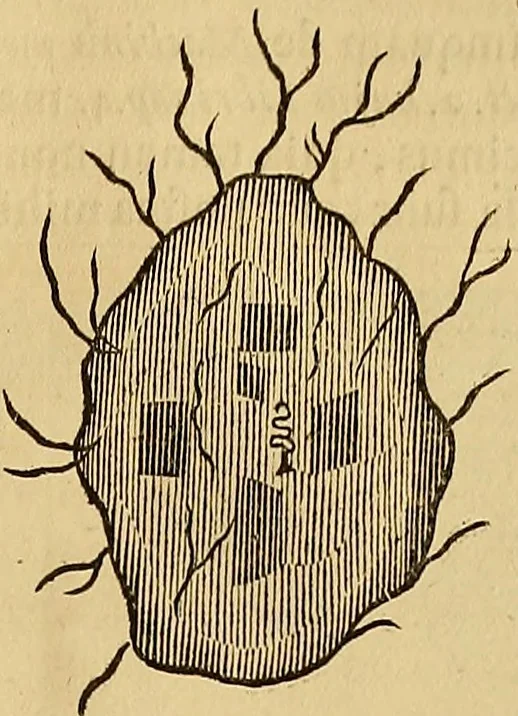 An illustration from Mundus subterraneus, in XII libros digestus : qvo divinum subterrestris mundi opificium, mira ergasteriorum naturae in eo distributio, verbo [pantamorphon] Protei regnum, universae denique naturae majestas & divitiae summa rerum varietate exponuntur, abditorum effectuum causae acri indagine inquistae demonstrantur, cognitae per artis & naturae conjugium ad humanae vitae necessarium usum vario experimentorum apparata, necnon novo modo & ratione applicantur. Ad Alexandrum VII. pont. opt. max., 1678, leaf 656