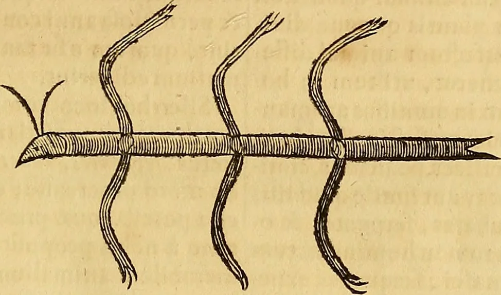 An illustration from Mundus subterraneus, in XII libros digestus : qvo divinum subterrestris mundi opificium, mira ergasteriorum naturae in eo distributio, verbo [pantamorphon] Protei regnum, universae denique naturae majestas & divitiae summa rerum varietate exponuntur, abditorum effectuum causae acri indagine inquistae demonstrantur, cognitae per artis & naturae conjugium ad humanae vitae necessarium usum vario experimentorum apparata, necnon novo modo & ratione applicantur. Ad Alexandrum VII. pont. opt. max., 1678, leaf 820