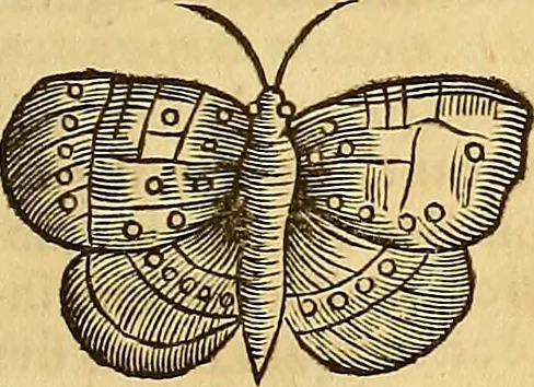 An illustration from Mundus subterraneus, in XII libros digestus : qvo divinum subterrestris mundi opificium, mira ergasteriorum naturae in eo distributio, verbo [pantamorphon] Protei regnum, universae denique naturae majestas & divitiae summa rerum varietate exponuntur, abditorum effectuum causae acri indagine inquistae demonstrantur, cognitae per artis & naturae conjugium ad humanae vitae necessarium usum vario experimentorum apparata, necnon novo modo & ratione applicantur. Ad Alexandrum VII. pont. opt. max., 1678, leaf 828