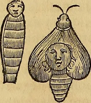 An illustration from Mundus subterraneus, in XII libros digestus : qvo divinum subterrestris mundi opificium, mira ergasteriorum naturae in eo distributio, verbo [pantamorphon] Protei regnum, universae denique naturae majestas & divitiae summa rerum varietate exponuntur, abditorum effectuum causae acri indagine inquistae demonstrantur, cognitae per artis & naturae conjugium ad humanae vitae necessarium usum vario experimentorum apparata, necnon novo modo & ratione applicantur. Ad Alexandrum VII. pont. opt. max., 1678, leaf 829