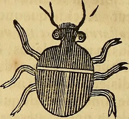 An illustration from Mundus subterraneus, in XII libros digestus : qvo divinum subterrestris mundi opificium, mira ergasteriorum naturae in eo distributio, verbo [pantamorphon] Protei regnum, universae denique naturae majestas & divitiae summa rerum varietate exponuntur, abditorum effectuum causae acri indagine inquistae demonstrantur, cognitae per artis & naturae conjugium ad humanae vitae necessarium usum vario experimentorum apparata, necnon novo modo & ratione applicantur. Ad Alexandrum VII. pont. opt. max., 1678, leaf 833