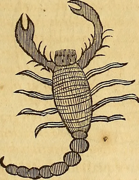 An illustration from Mundus subterraneus, in XII libros digestus : qvo divinum subterrestris mundi opificium, mira ergasteriorum naturae in eo distributio, verbo [pantamorphon] Protei regnum, universae denique naturae majestas & divitiae summa rerum varietate exponuntur, abditorum effectuum causae acri indagine inquistae demonstrantur, cognitae per artis & naturae conjugium ad humanae vitae necessarium usum vario experimentorum apparata, necnon novo modo & ratione applicantur. Ad Alexandrum VII. pont. opt. max., 1678, leaf 836
