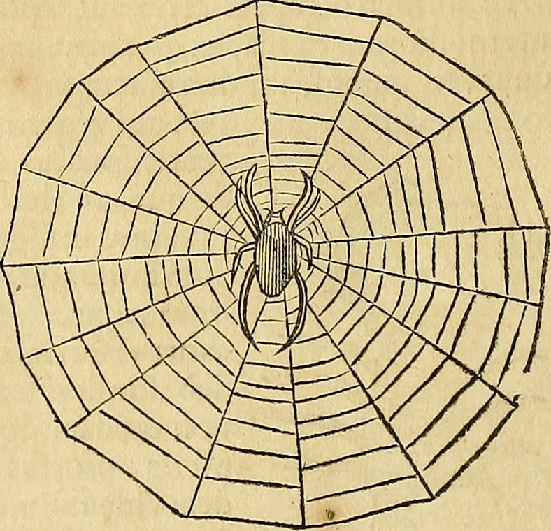 An illustration from Mundus subterraneus, in XII libros digestus : qvo divinum subterrestris mundi opificium, mira ergasteriorum naturae in eo distributio, verbo [pantamorphon] Protei regnum, universae denique naturae majestas & divitiae summa rerum varietate exponuntur, abditorum effectuum causae acri indagine inquistae demonstrantur, cognitae per artis & naturae conjugium ad humanae vitae necessarium usum vario experimentorum apparata, necnon novo modo & ratione applicantur. Ad Alexandrum VII. pont. opt. max., 1678, leaf 837