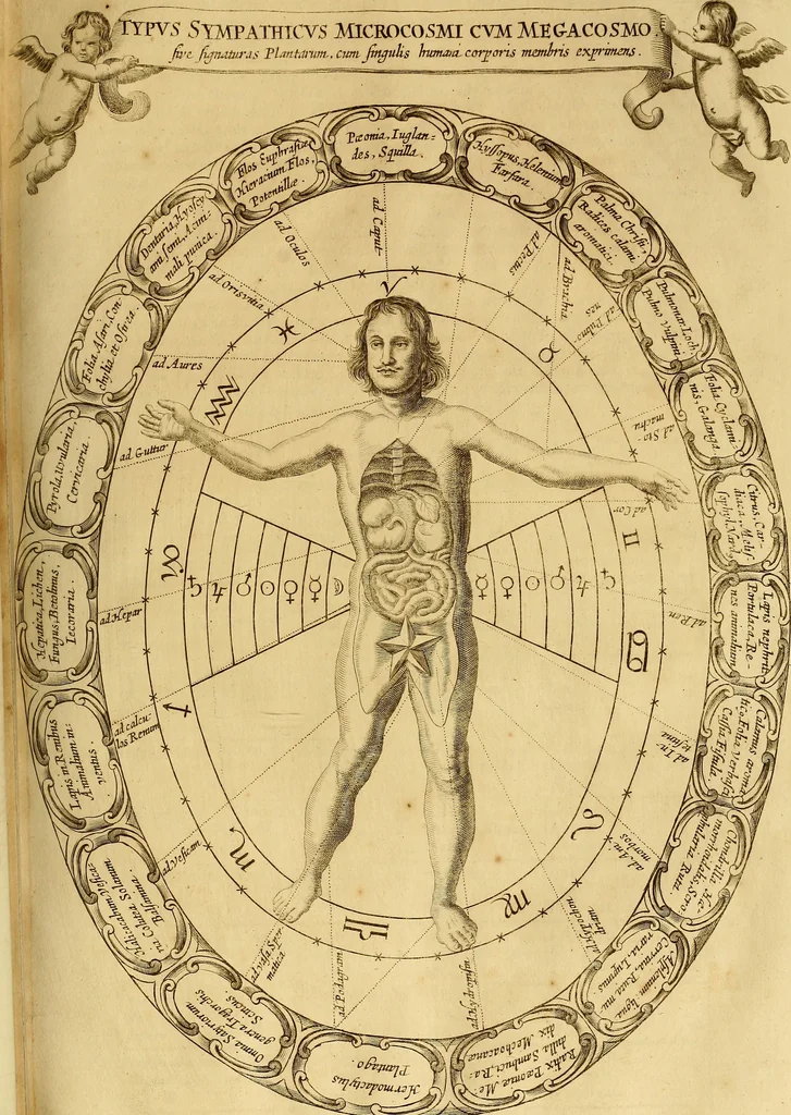 An illustration from Mundus subterraneus, in XII libros digestus : qvo divinum subterrestris mundi opificium, mira ergasteriorum naturae in eo distributio, verbo [pantamorphon] Protei regnum, universae denique naturae majestas & divitiae summa rerum varietate exponuntur, abditorum effectuum causae acri indagine inquistae demonstrantur, cognitae per artis & naturae conjugium ad humanae vitae necessarium usum vario experimentorum apparata, necnon novo modo & ratione applicantur. Ad Alexandrum VII. pont. opt. max., 1678, leaf 890