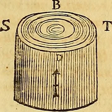 An illustration from Mundus subterraneus, in XII libros digestus : qvo divinum subterrestris mundi opificium, mira ergasteriorum naturae in eo distributio, verbo [pantamorphon] Protei regnum, universae denique naturae majestas & divitiae summa rerum varietate exponuntur, abditorum effectuum causae acri indagine inquistae demonstrantur, cognitae per artis & naturae conjugium ad humanae vitae necessarium usum vario experimentorum apparata, necnon novo modo & ratione applicantur. Ad Alexandrum VII. pont. opt. max., 1678, leaf 896