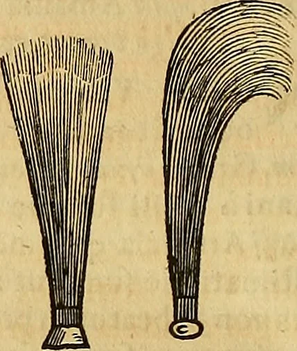An illustration from Mundus subterraneus, in XII libros digestus : qvo divinum subterrestris mundi opificium, mira ergasteriorum naturae in eo distributio, verbo [pantamorphon] Protei regnum, universae denique naturae majestas & divitiae summa rerum varietate exponuntur, abditorum effectuum causae acri indagine inquistae demonstrantur, cognitae per artis & naturae conjugium ad humanae vitae necessarium usum vario experimentorum apparata, necnon novo modo & ratione applicantur. Ad Alexandrum VII. pont. opt. max., 1678, leaf 939