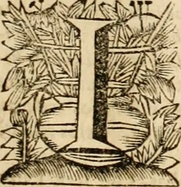 An illustration from Mundus symbolicus, in emblematum universitate formatus, explicatus, et tam sacris, quàm profanis eruditionibus ac sententiis illustratus : subministrans oratoribus, praedicatoribus, academicis, poetis &c. innumera conceptuum argumenta, 1687, leaf 56