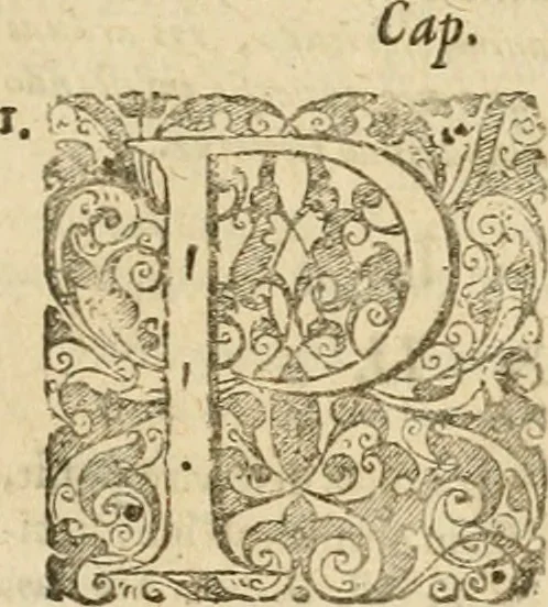 An illustration from Mundus symbolicus, in emblematum universitate formatus, explicatus, et tam sacris, quàm profanis eruditionibus ac sententiis illustratus : subministrans oratoribus, praedicatoribus, academicis, poetis &c. innumera conceptuum argumenta, 1687, leaf 856