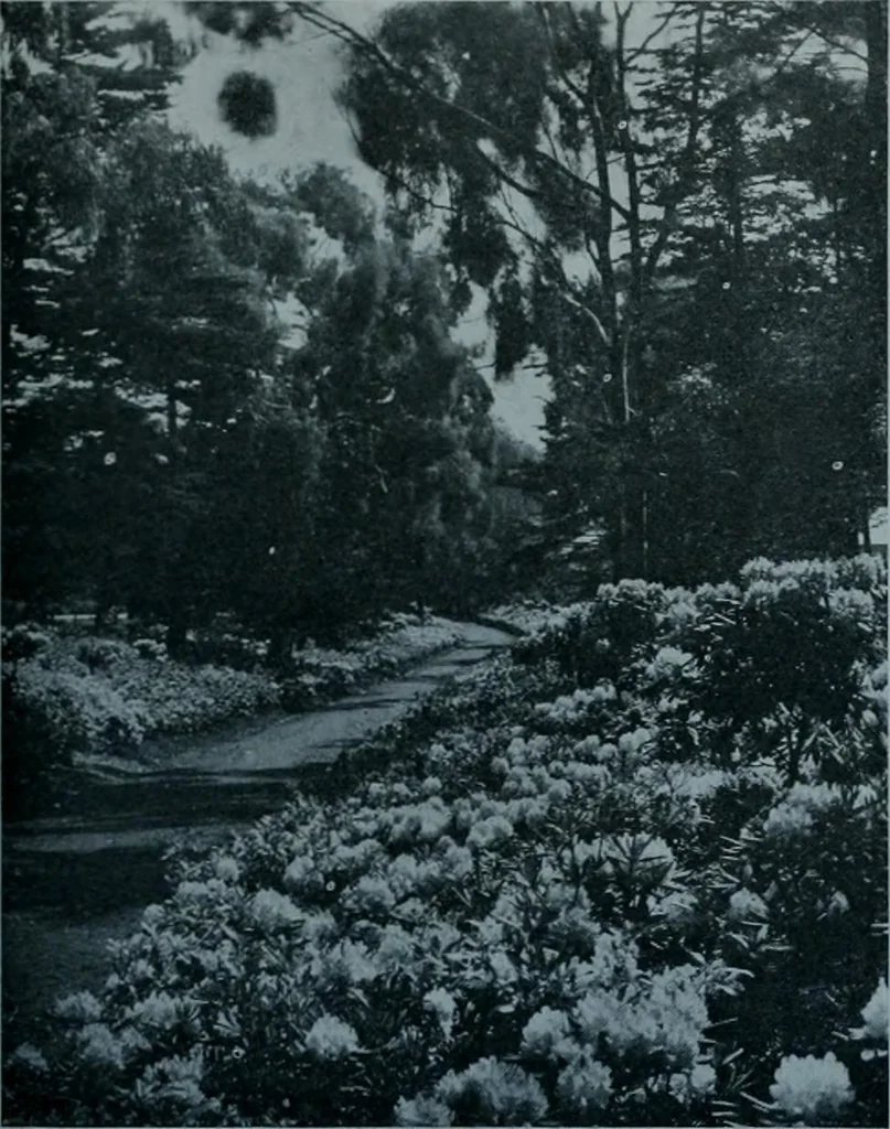 An illustration from Municipal record, 1908, leaf 234