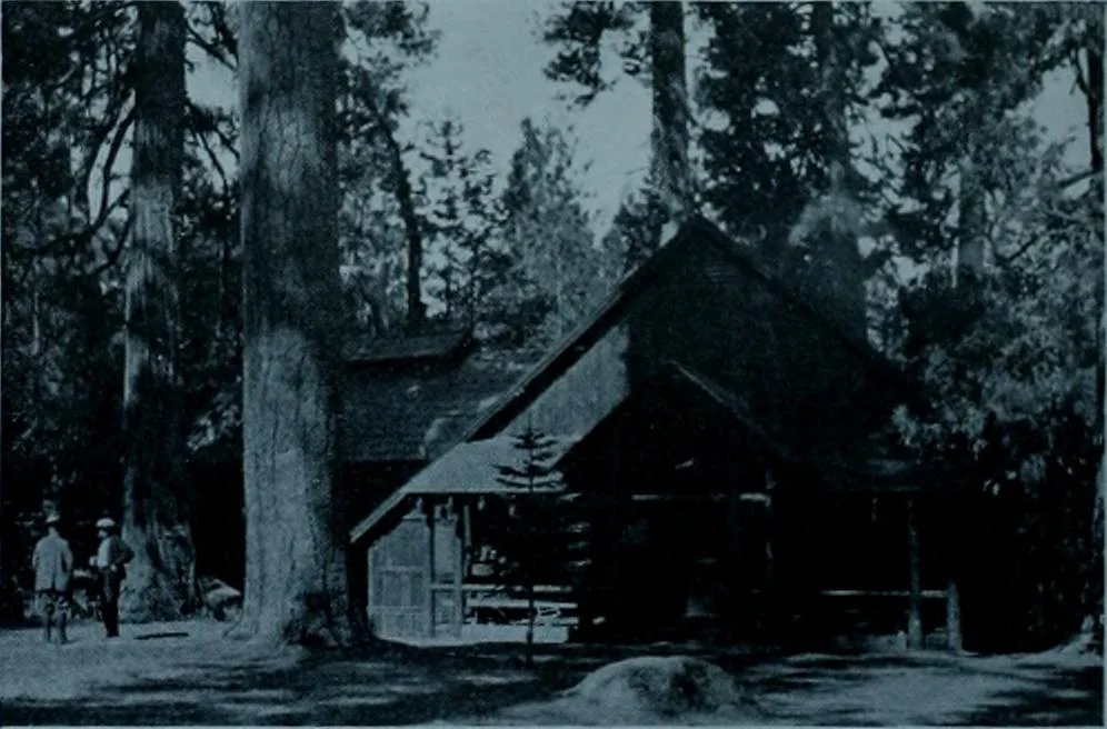 An illustration from Municipal record, 1908, leaf 239
