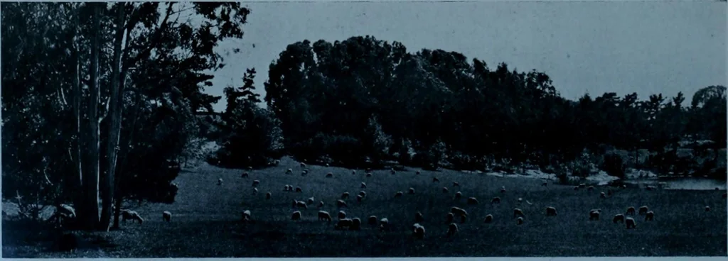 An illustration from Municipal record, 1908, leaf 271