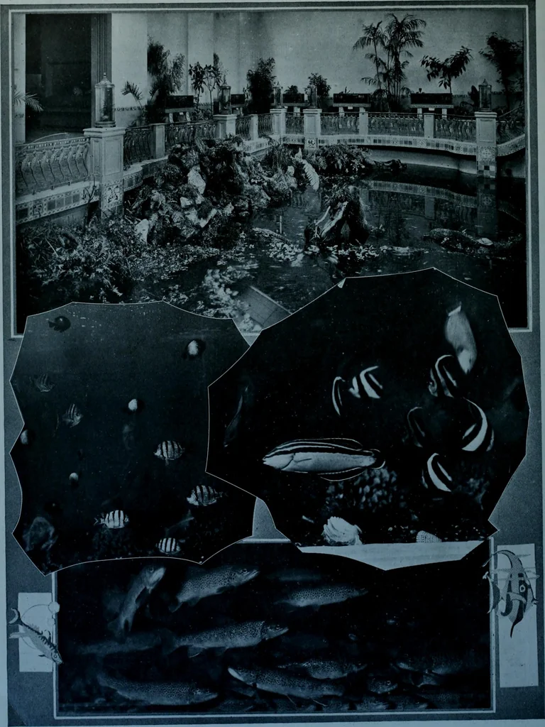 An illustration from Municipal record, 1908, leaf 285
