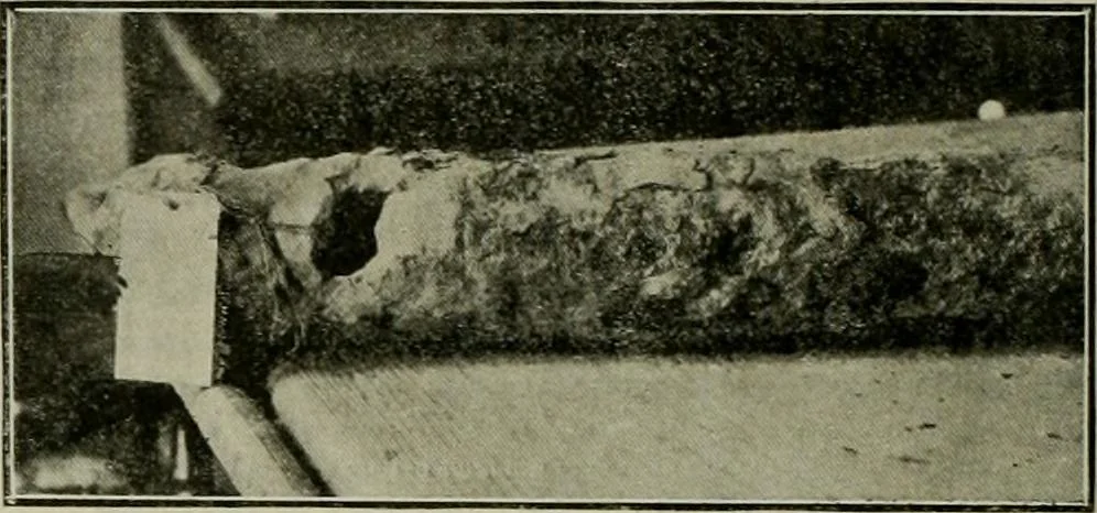 An illustration from Municipal record, 1908, leaf 376