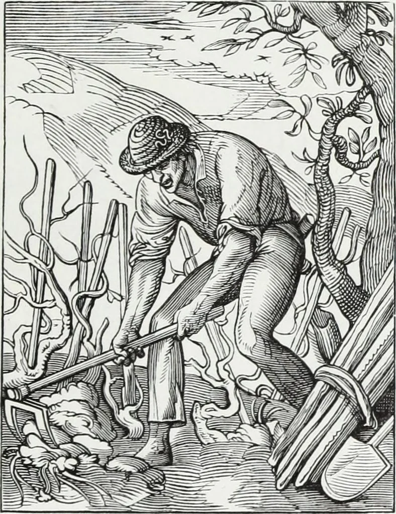 An illustration from Mœurs, usages et costumes au moyen âge : et à l'époque de la renaissance, 1874, leaf 146