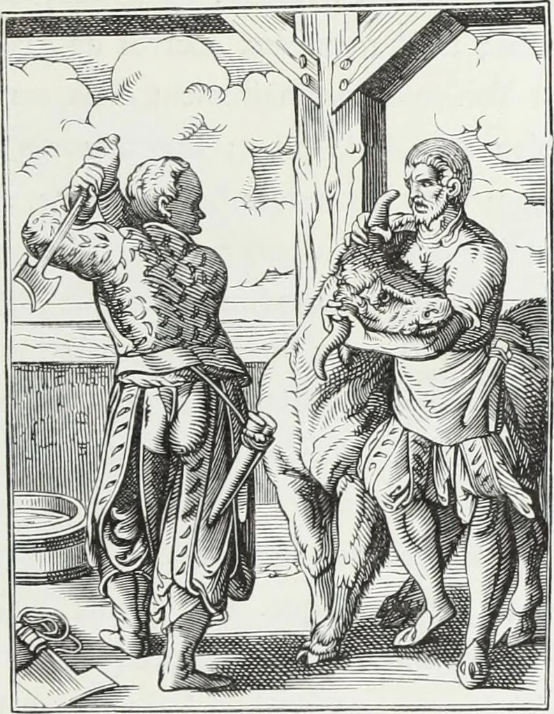 An illustration from Mœurs, usages et costumes au moyen âge : et à l'époque de la renaissance, 1874, leaf 152