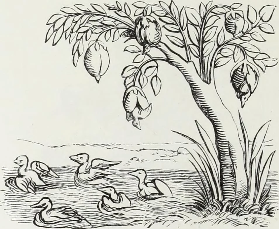 An illustration from Mœurs, usages et costumes au moyen âge : et à l'époque de la renaissance, 1874, leaf 157