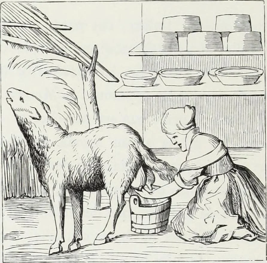An illustration from Mœurs, usages et costumes au moyen âge : et à l'époque de la renaissance, 1874, leaf 171