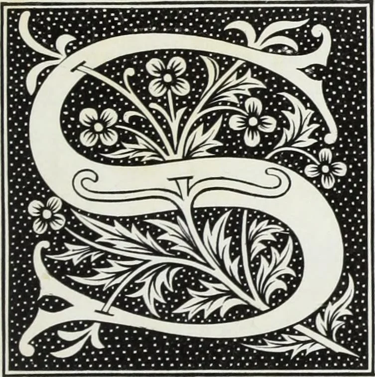 An illustration from Mœurs, usages et costumes au moyen âge : et à l'époque de la renaissance, 1874, leaf 216