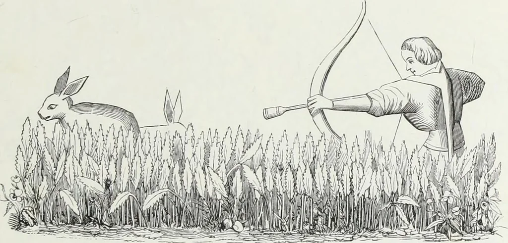 An illustration from Mœurs, usages et costumes au moyen âge : et à l'époque de la renaissance, 1874, leaf 220