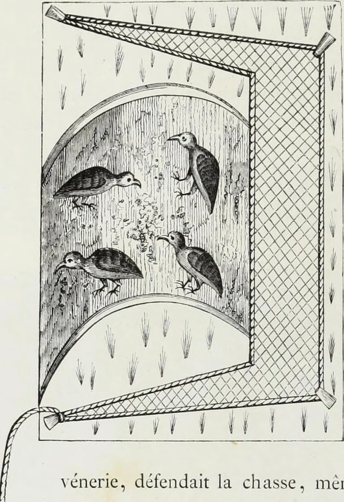 An illustration from Mœurs, usages et costumes au moyen âge : et à l'époque de la renaissance, 1874, leaf 229