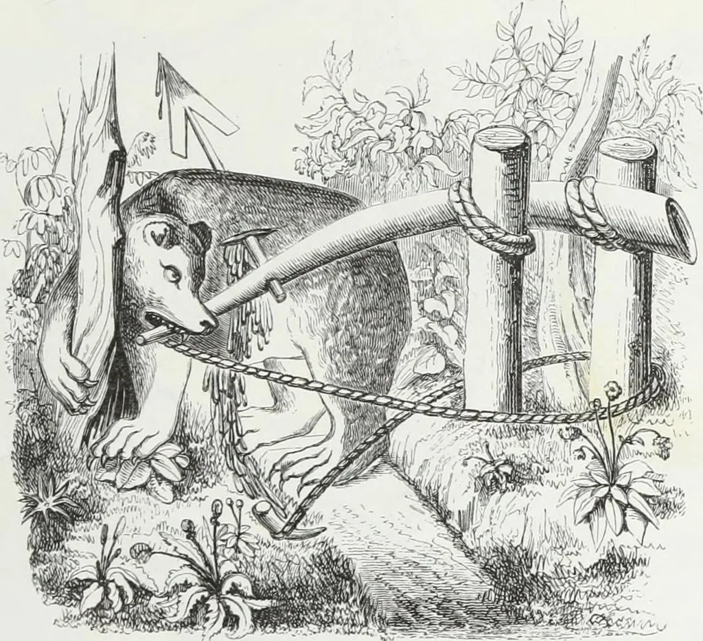 An illustration from Mœurs, usages et costumes au moyen âge : et à l'époque de la renaissance, 1874, leaf 234