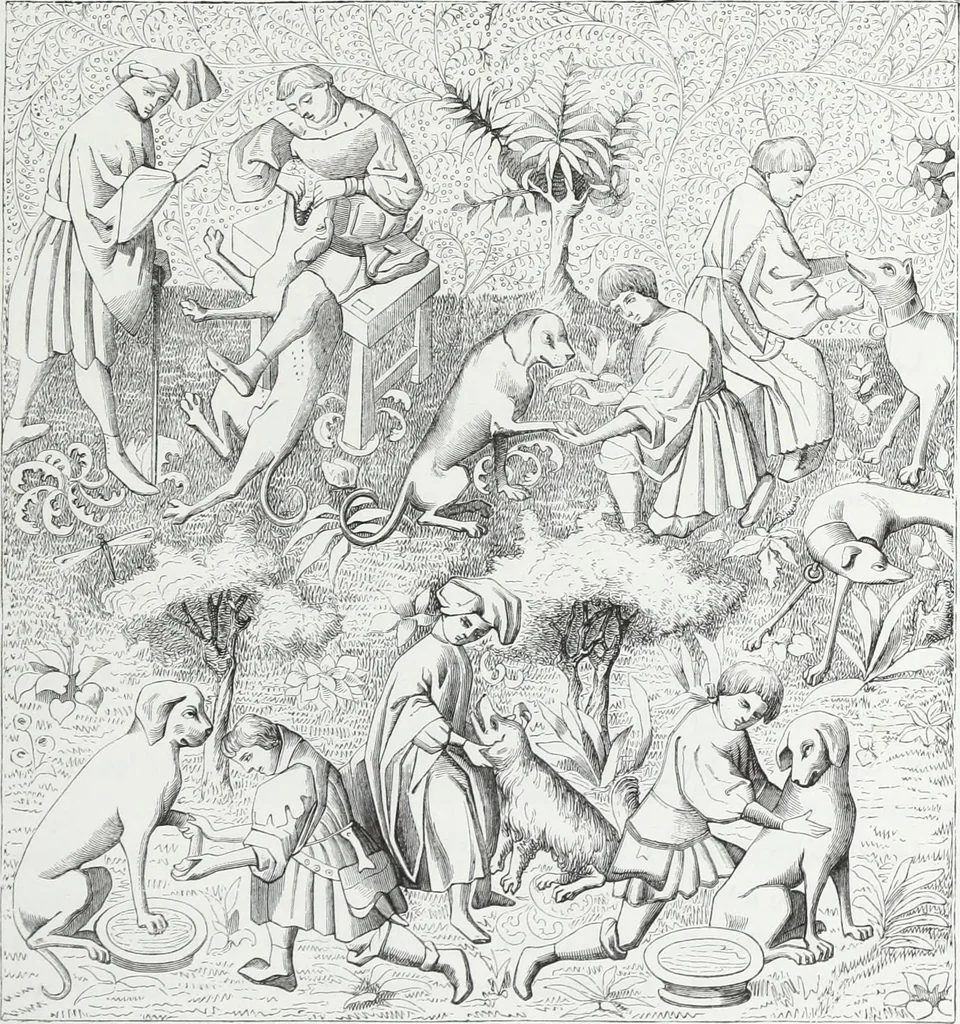An illustration from Mœurs, usages et costumes au moyen âge : et à l'époque de la renaissance, 1874, leaf 248