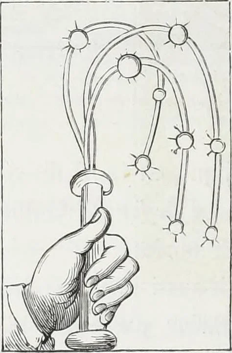 An illustration from Mœurs, usages et costumes au moyen âge : et à l'époque de la renaissance, 1874, leaf 501