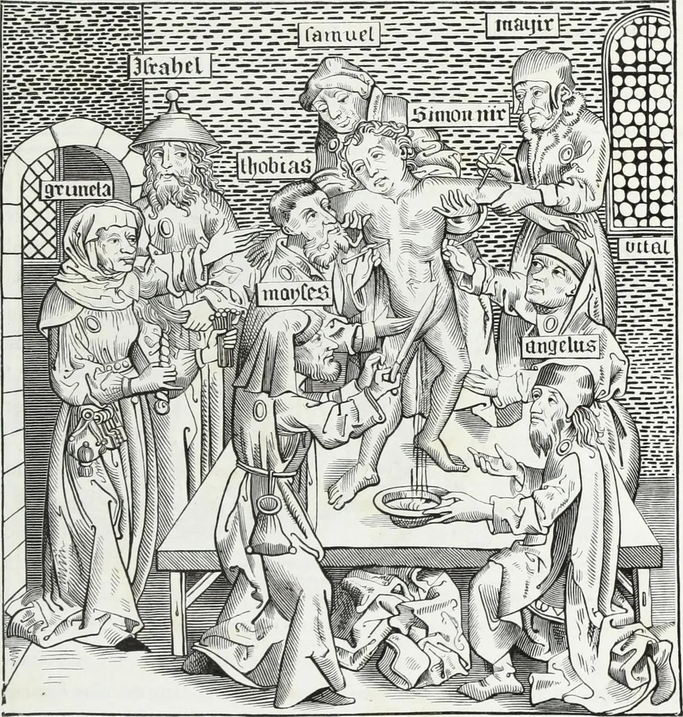 An illustration from Mœurs, usages et costumes au moyen âge : et à l'époque de la renaissance, 1874, leaf 512