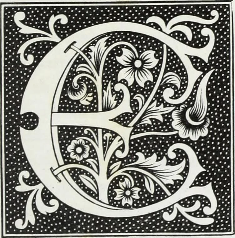 An illustration from Mœurs, usages et costumes au moyen âge : et à l'époque de la renaissance, 1874, leaf 528