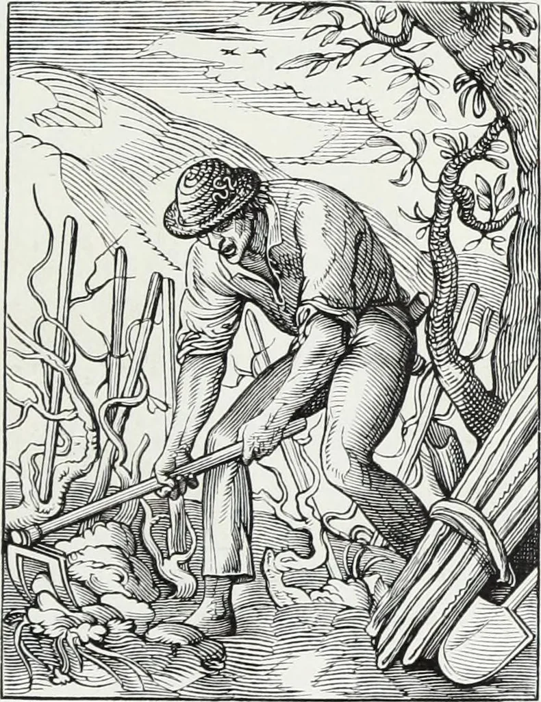 An illustration from Mœurs, usages et costumes au moyen âge et à l'époque de la renaissance, 1872, leaf 146