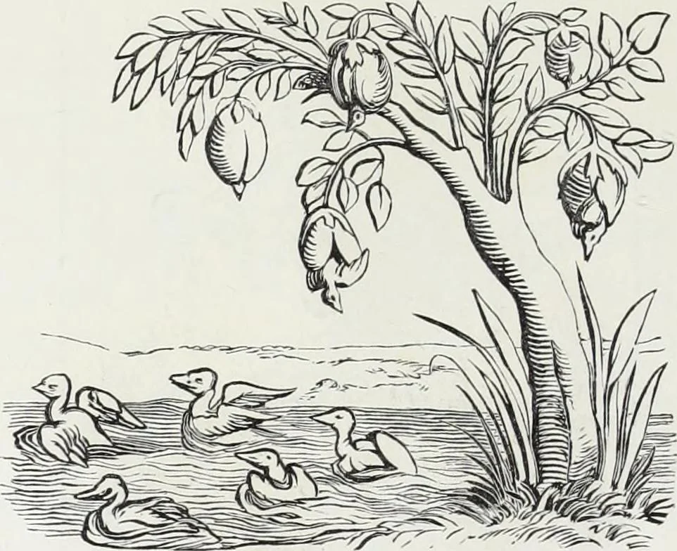 An illustration from Mœurs, usages et costumes au moyen âge et à l'époque de la renaissance, 1872, leaf 157