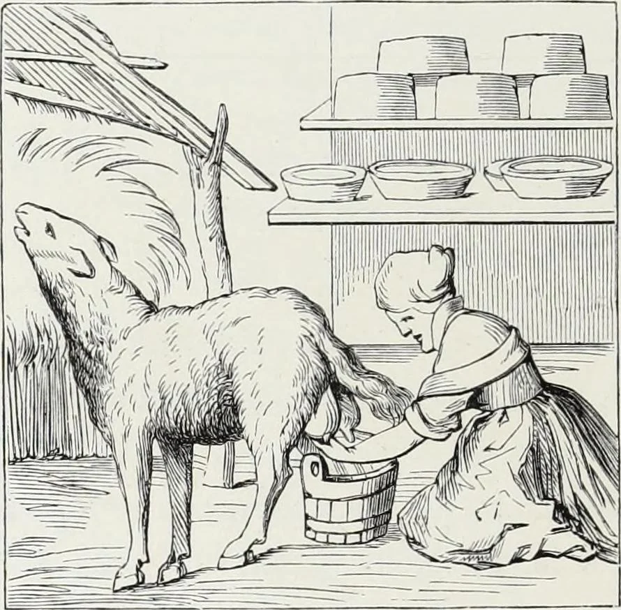 An illustration from Mœurs, usages et costumes au moyen âge et à l'époque de la renaissance, 1872, leaf 171