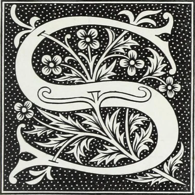 An illustration from Mœurs, usages et costumes au moyen âge et à l'époque de la renaissance, 1872, leaf 216