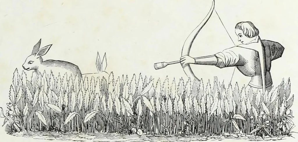 An illustration from Mœurs, usages et costumes au moyen âge et à l'époque de la renaissance, 1872, leaf 220