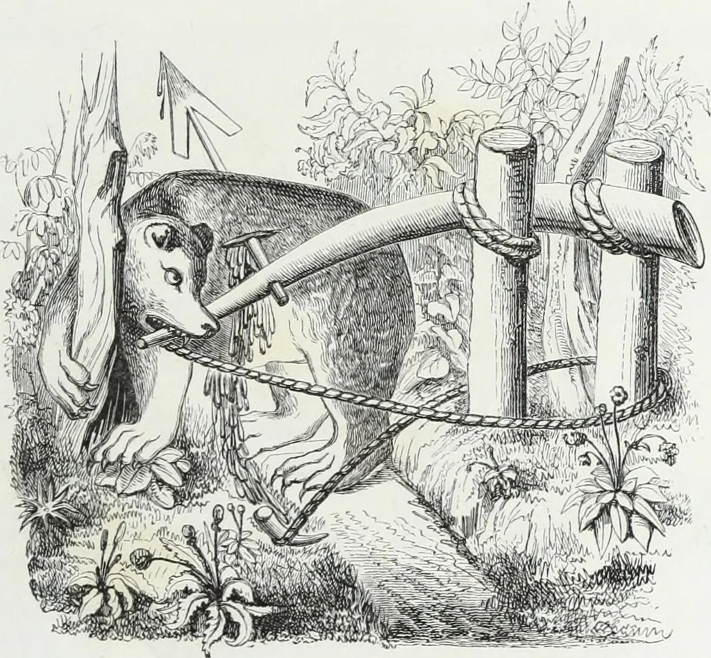 An illustration from Mœurs, usages et costumes au moyen âge et à l'époque de la renaissance, 1872, leaf 234