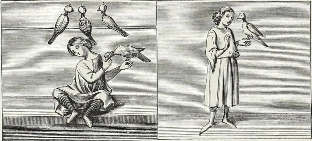 An illustration from Mœurs, usages et costumes au moyen âge et à l'époque de la renaissance, 1872, leaf 243
