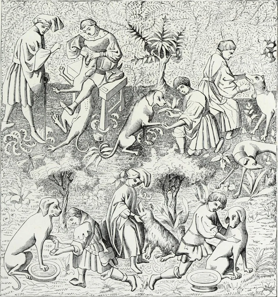 An illustration from Mœurs, usages et costumes au moyen âge et à l'époque de la renaissance, 1872, leaf 248