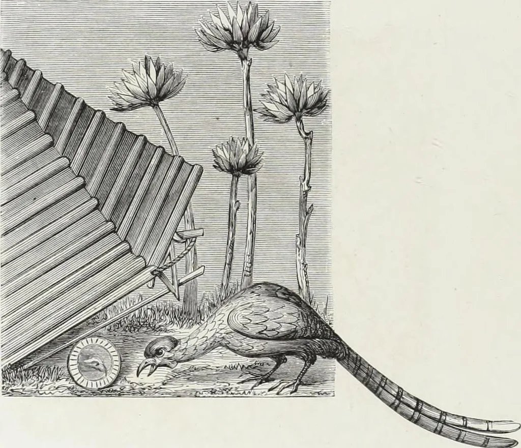 An illustration from Mœurs, usages et costumes au moyen âge et à l'époque de la renaissance, 1872, leaf 257